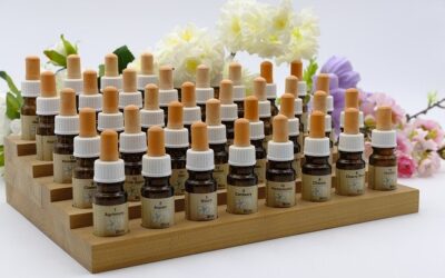 Médecine complémentaire : Plus de bien-être avec les fleurs de Bach