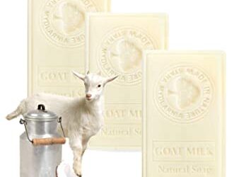 Savon au lait de chèvre – Le guide de fabrication