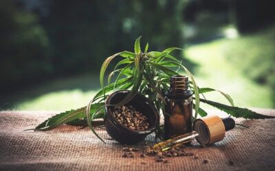 CBD industriel DIY : tout savoir sur sa fabrication